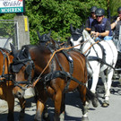   Kutschen unterwegs