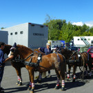 116_2005_JPG-1347751590