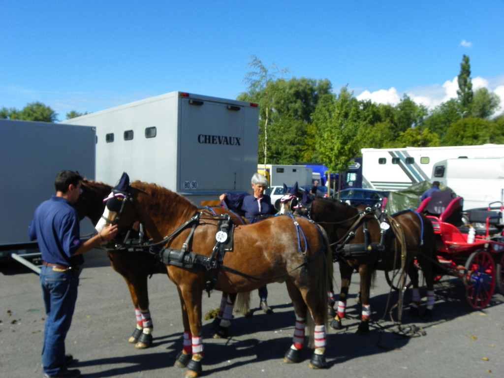 116_2005_JPG-1347751590