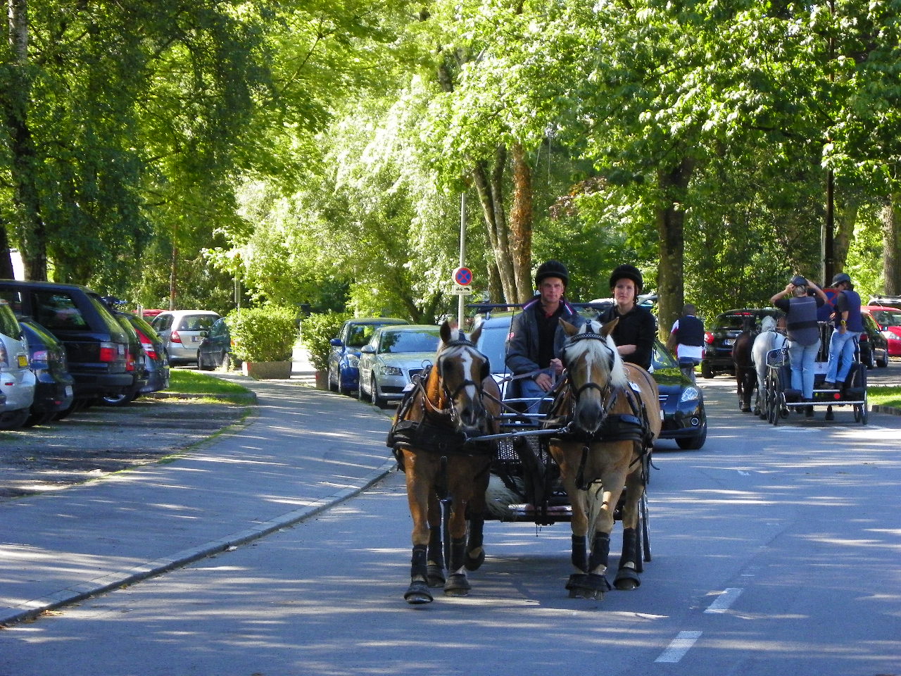 116_2013_JPG-1347751596