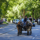 116_2013_JPG-1347751596