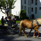 116_2052_JPG-1347751647