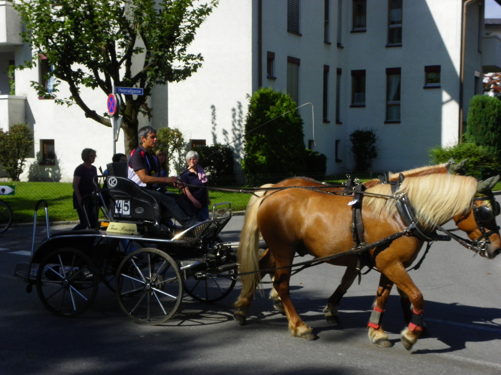 116_2052_JPG-1347751647