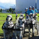 116_2188_JPG-1347751676