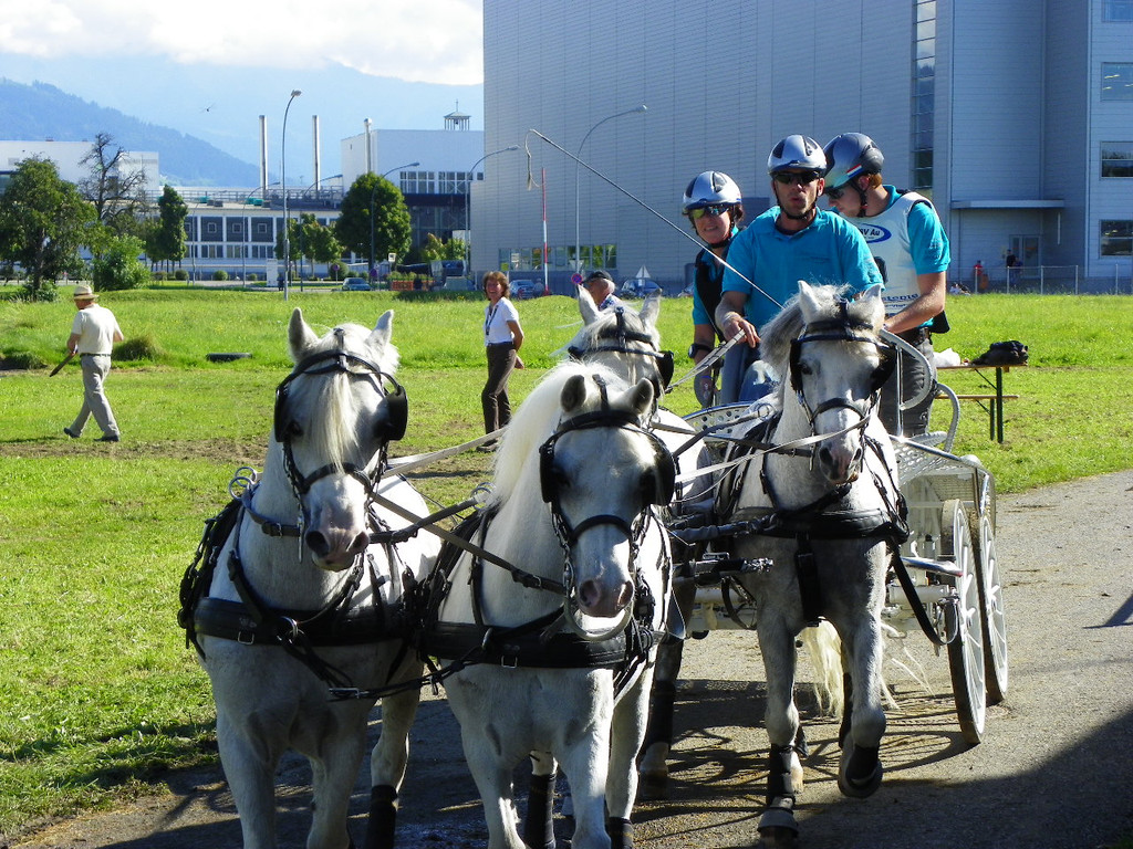 116_2188_JPG-1347751676