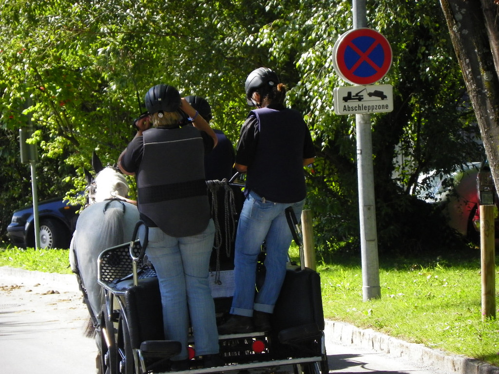 116_2015_JPG-1347751607