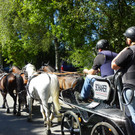 116_2016_JPG-1347751614