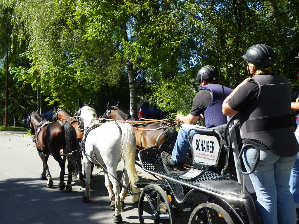 116_2016_JPG-1347751614