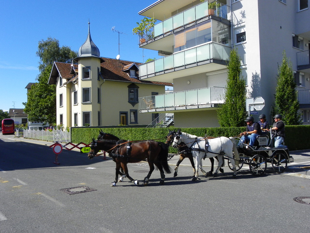 116_2020_JPG-1347751628