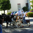 116_2032_JPG-1347751634