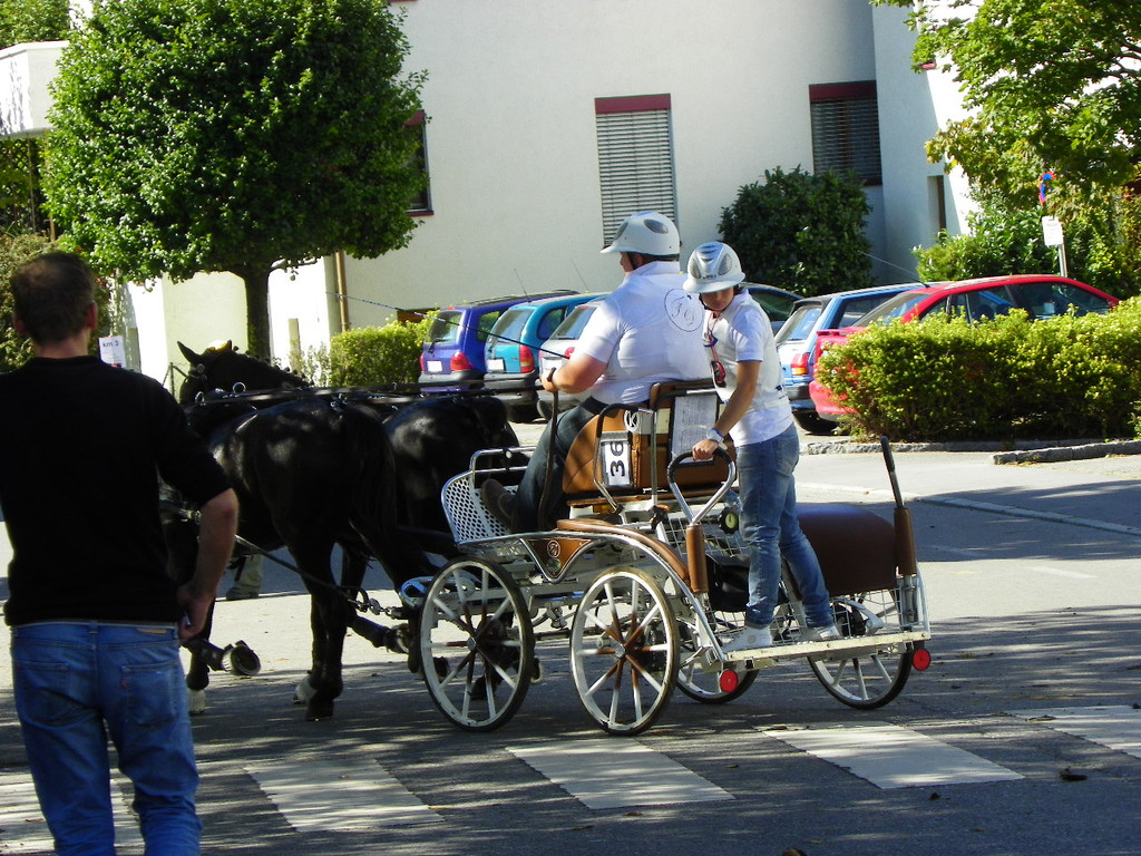 116_2032_JPG-1347751634