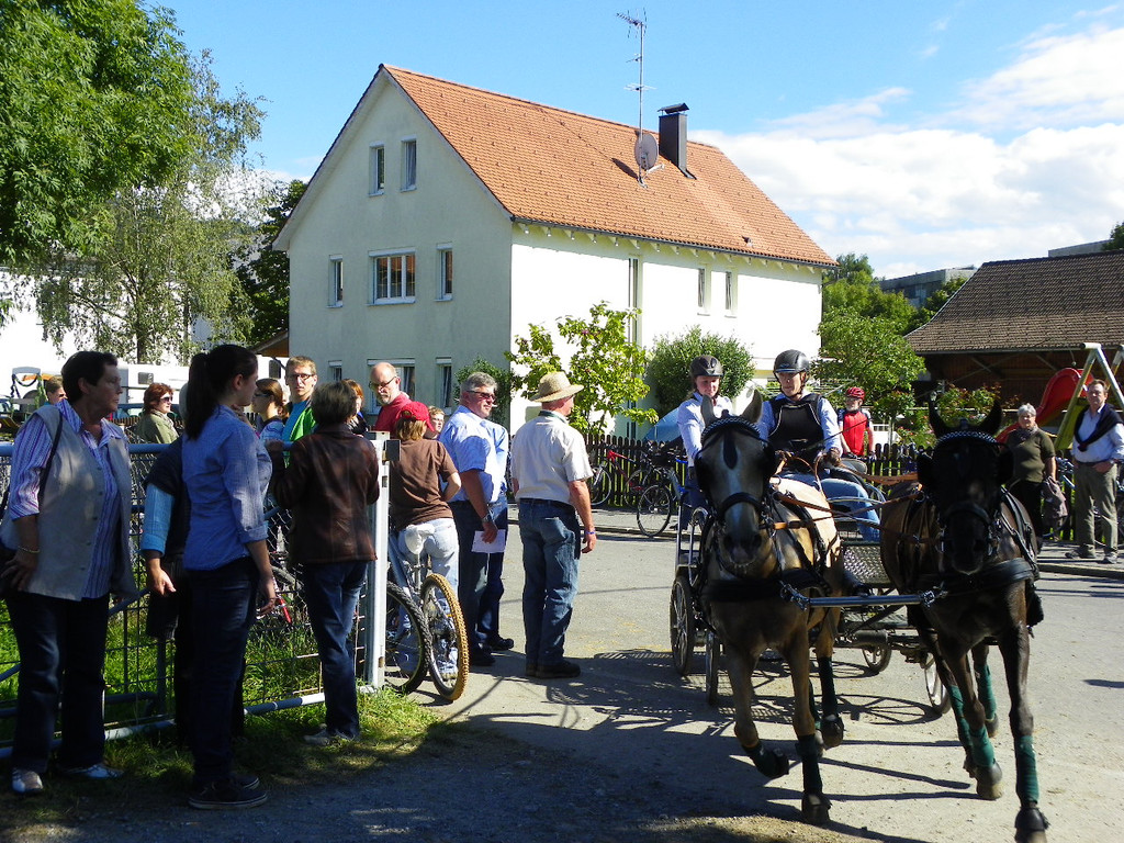 116_2146_JPG-1347751653