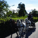 116_2179_JPG-1347751670