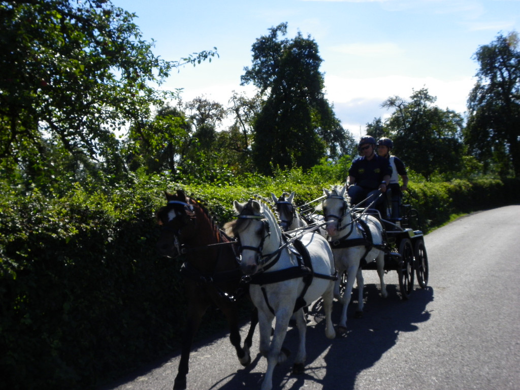 116_2179_JPG-1347751670