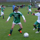 016_bearbeitet-1.jpg