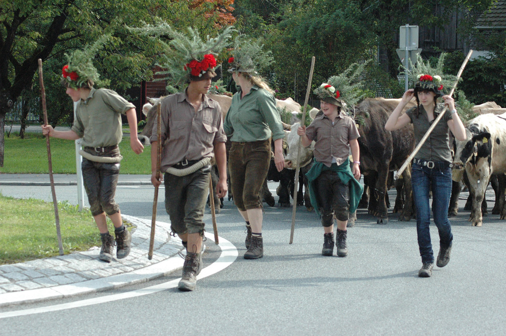 DSC_7845_JPG-1347781015