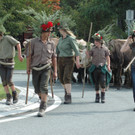 Almabtrieb