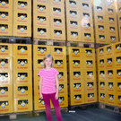 BK_Bockbierfest2012 31_jpg-1347819896