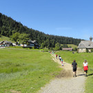 DSC03195_JPG-1347819843