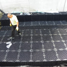 115_4998_JPG-1347825670