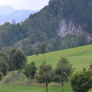 DSC_4354.jpg