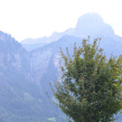 DSC_4601.jpg