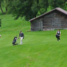DSC_4603.jpg
