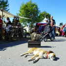 116_1871_JPG-1347827158