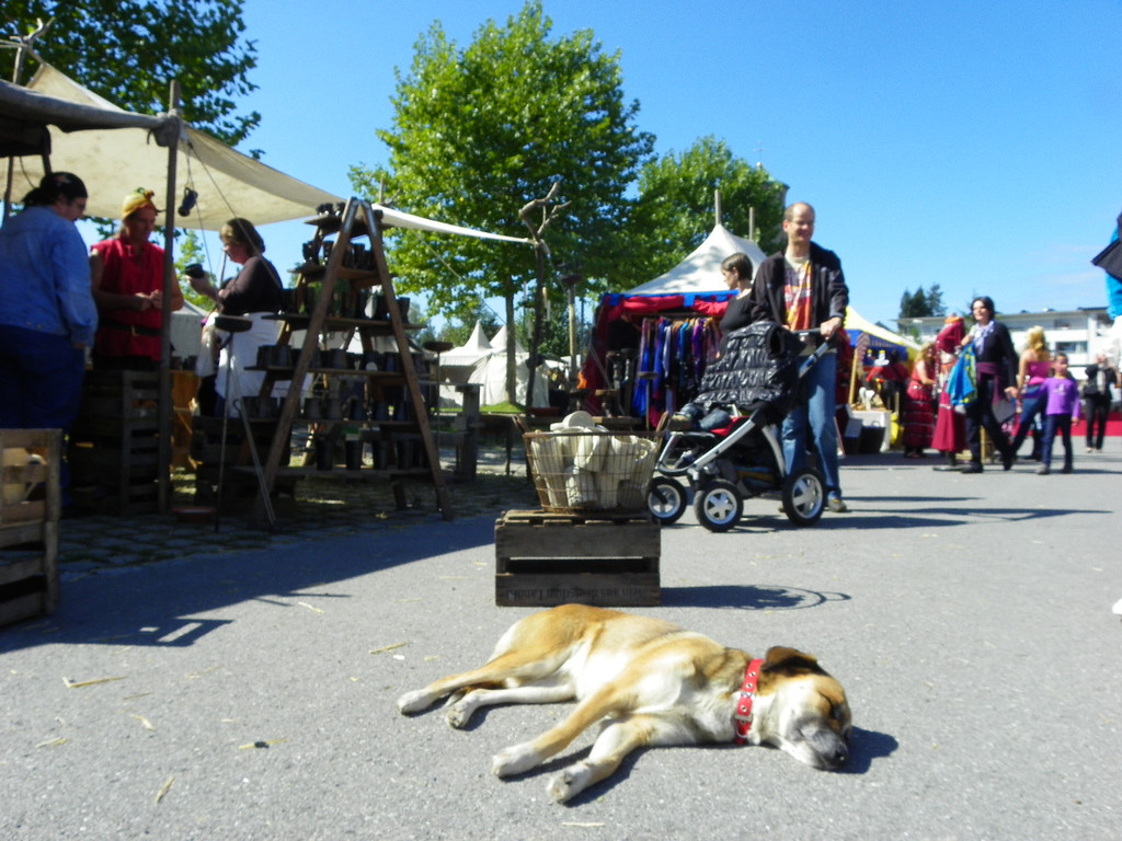 116_1871_JPG-1347827158