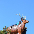 DSC_4886.jpg