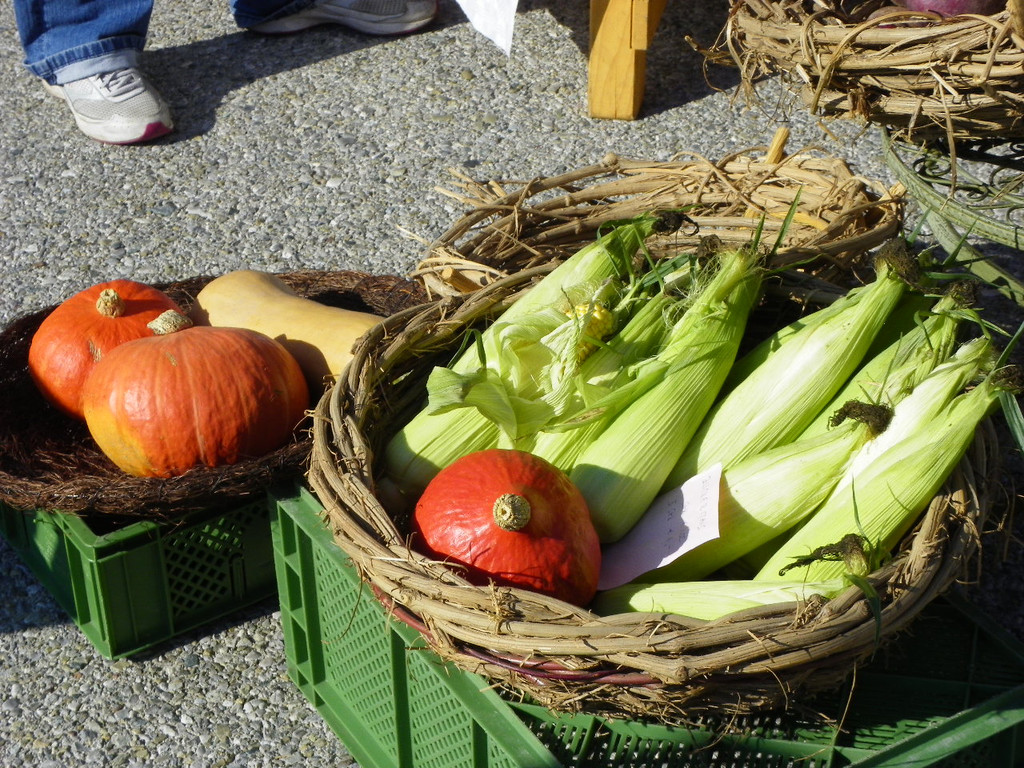 116_2440_JPG-1347827712