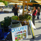 116_2432_JPG-1347827679