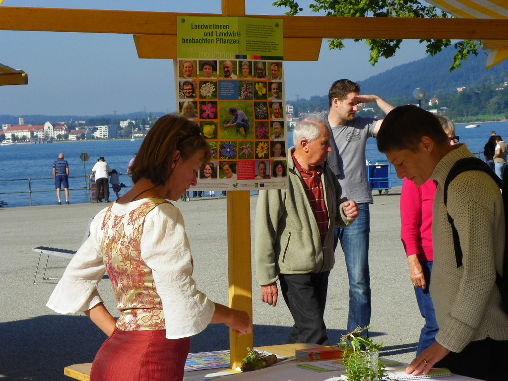 116_2453_JPG-1347827737