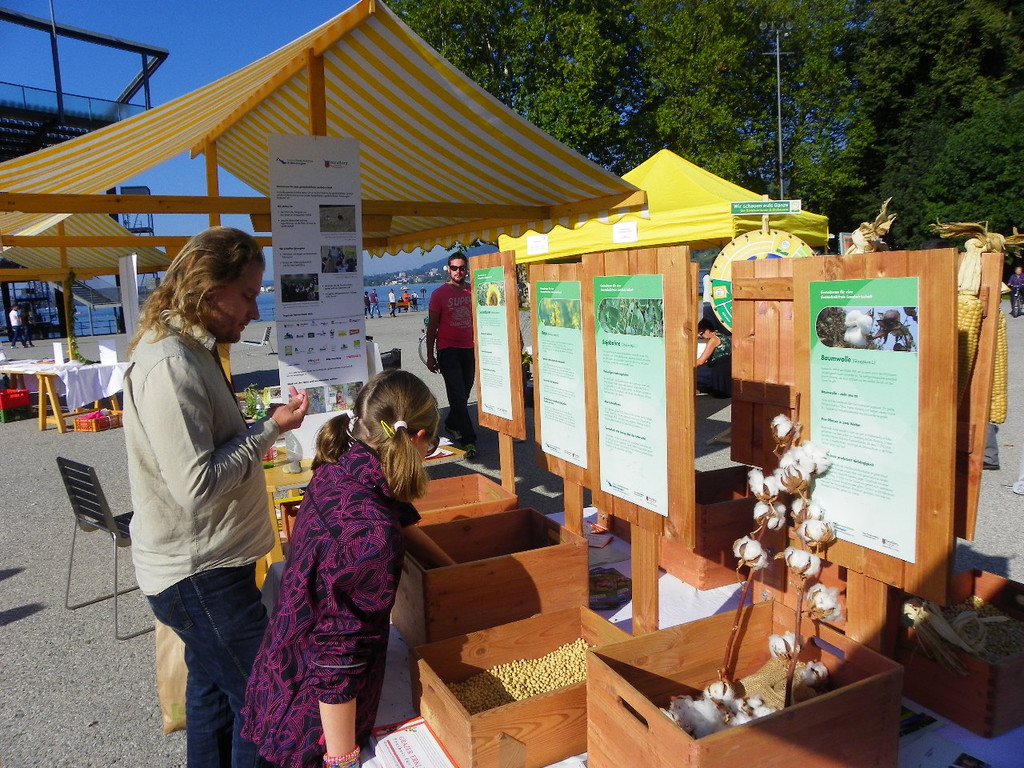 116_2465_JPG-1347827750