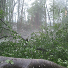 08072009unwetterskgwfo__281_29.jpg