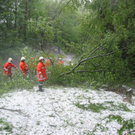08072009unwetterskgwfo__282_29.jpg