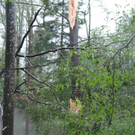 08072009unwetterskgwfo__283_29.jpg