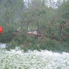 08072009unwetterskgwfo__286_29.jpg