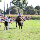 normal_16092012fmt_ochsenrennen_fm_06.JPG