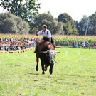 normal_16092012fmt_ochsenrennen_fm_07.JPG