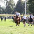 normal_16092012fmt_ochsenrennen_fm_10.JPG