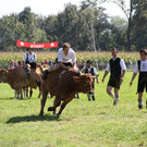 normal_16092012fmt_ochsenrennen_fm_11.JPG