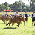 normal_16092012fmt_ochsenrennen_fm_12.JPG
