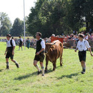 normal_16092012fmt_ochsenrennen_fm_14.JPG