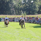 normal_16092012fmt_ochsenrennen_fm_17.JPG