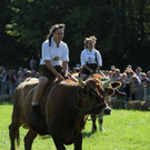 normal_16092012fmt_ochsenrennen_fm_19.JPG