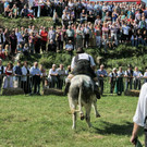 normal_16092012fmt_ochsenrennen_fm_21.JPG