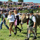 normal_16092012fmt_ochsenrennen_fm_23.JPG