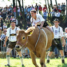 normal_16092012fmt_ochsenrennen_fm_26.JPG