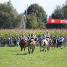 normal_16092012fmt_ochsenrennen_fm_32.JPG